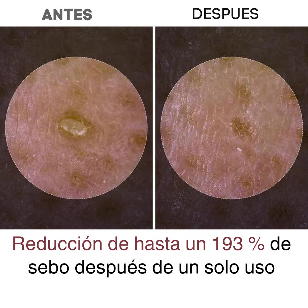 Imagen de la sección