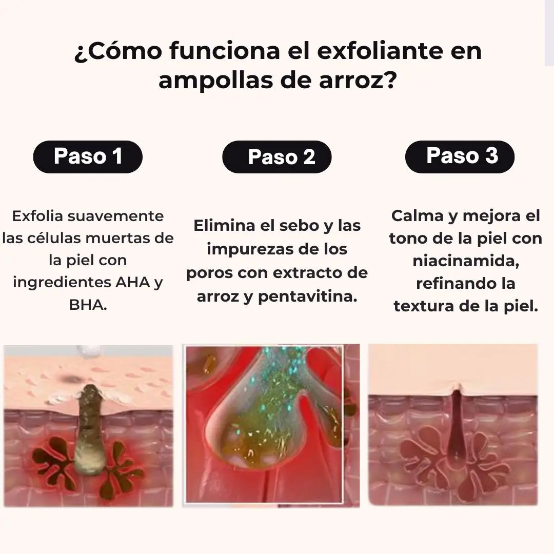 Imagen de la sección